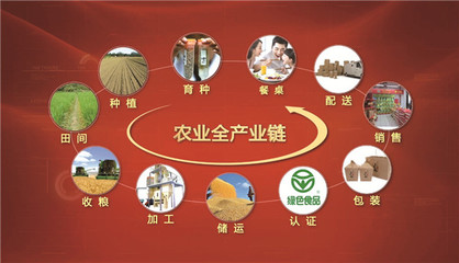 東方糧倉 有機稻谷種植研發(fā)領軍者，榮膺農業(yè)產業(yè)化國家重點龍頭企業(yè)